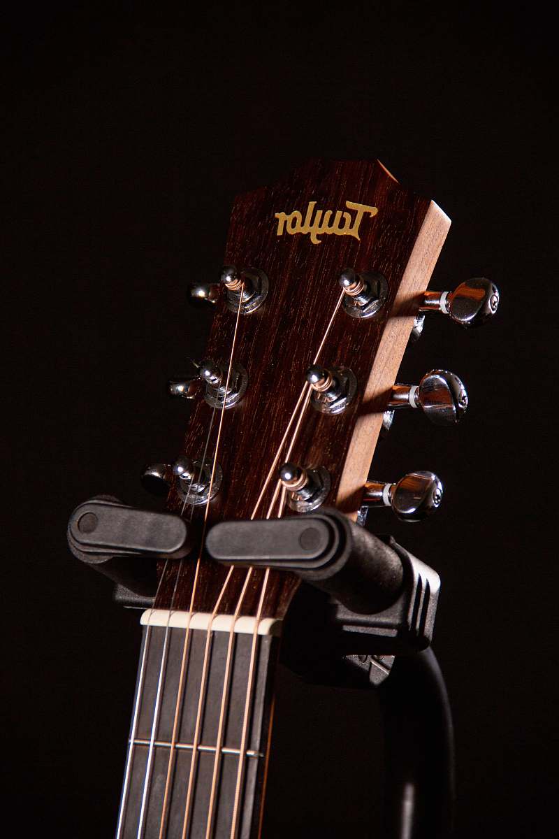 guitar brown and black Taylor guitar headstock leisure activities